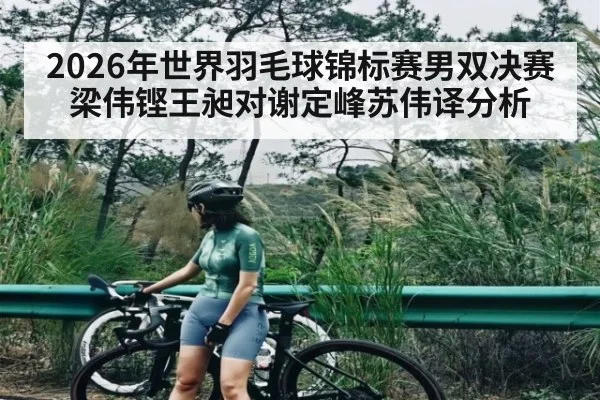 2026年世界羽毛球锦标赛男双决赛梁伟铿王昶对谢定峰苏伟译分析